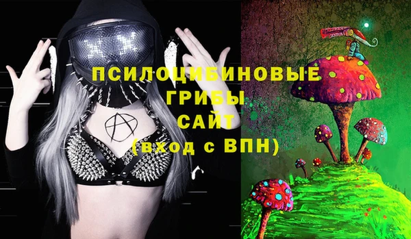 соль ск Алексеевка