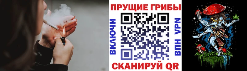 Галлюциногенные грибы мицелий  где купить наркотик  Гвардейск 